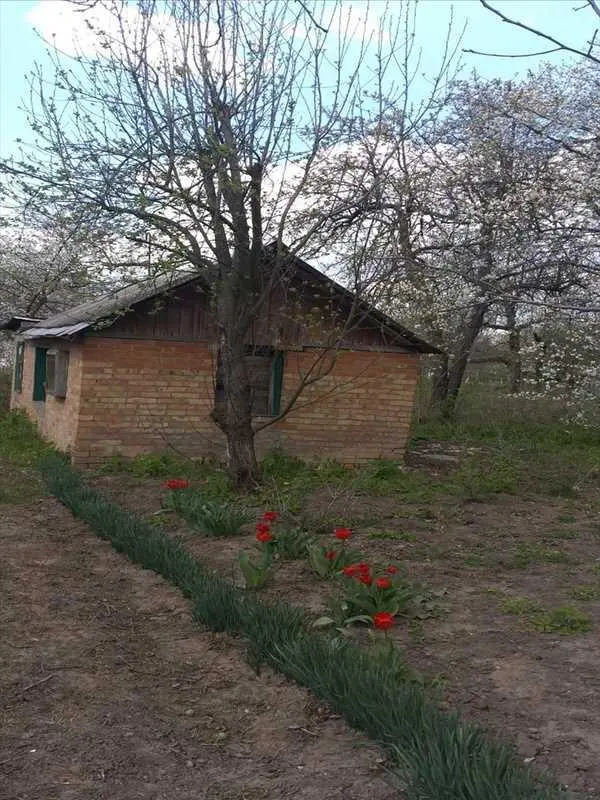 Бюджетна дача в районі Автоагрегатного заводу.