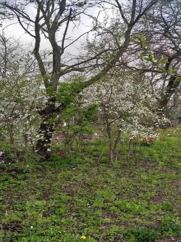 Бюджетна дача в районі Автоагрегатного заводу.