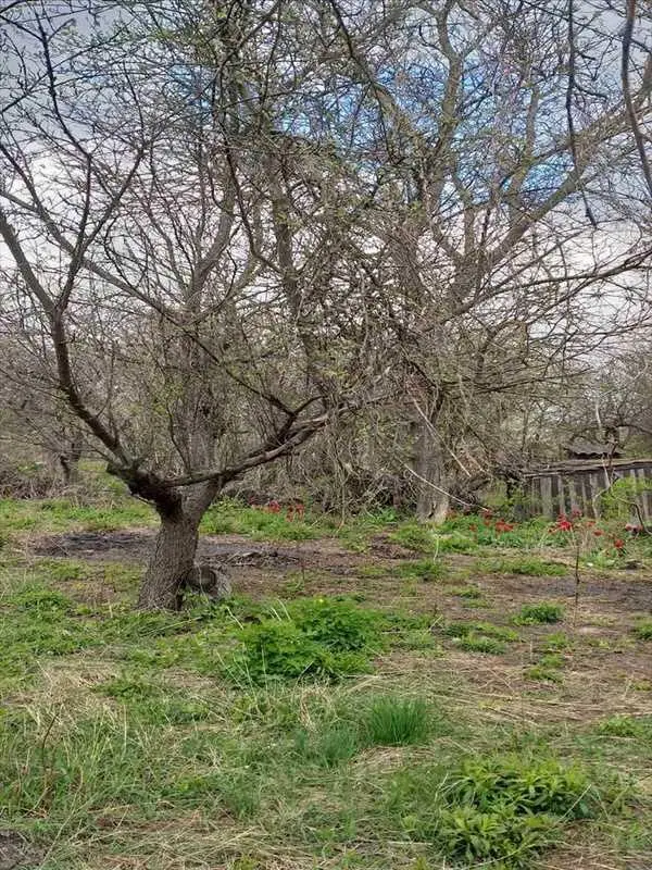 Бюджетна дача в районі Автоагрегатного заводу.