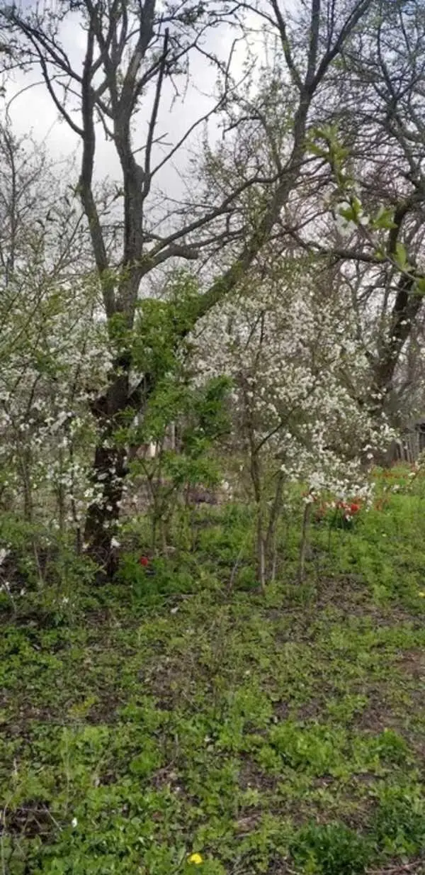 Бюджетна дача в районі Автоагрегатного заводу.