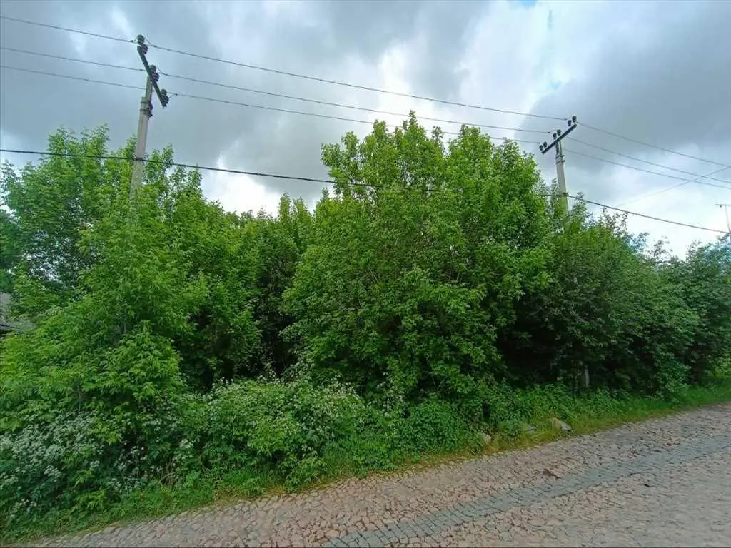 Видова ділянка в центральній частині міста