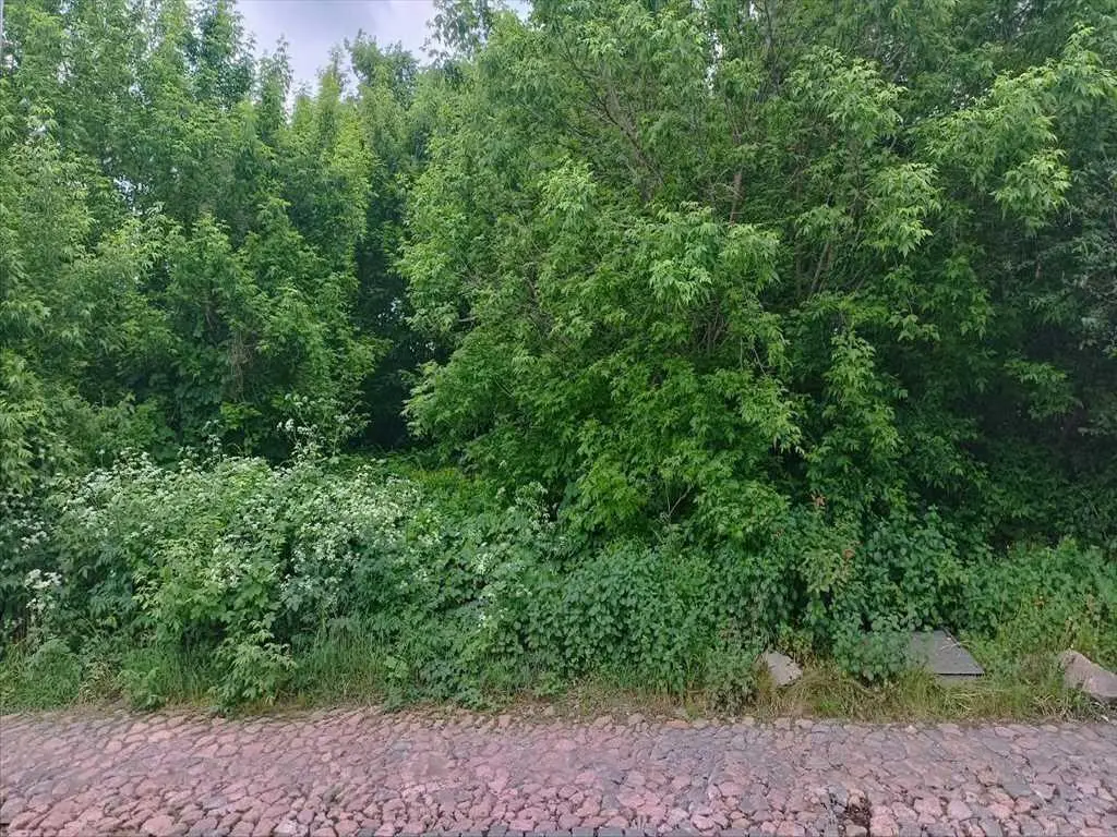 Видова ділянка в центральній частині міста