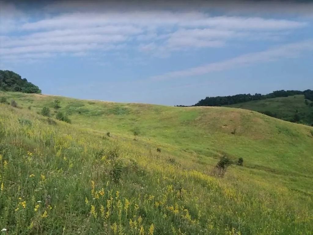 Три ділянки поряд з лісом Петрівка! 