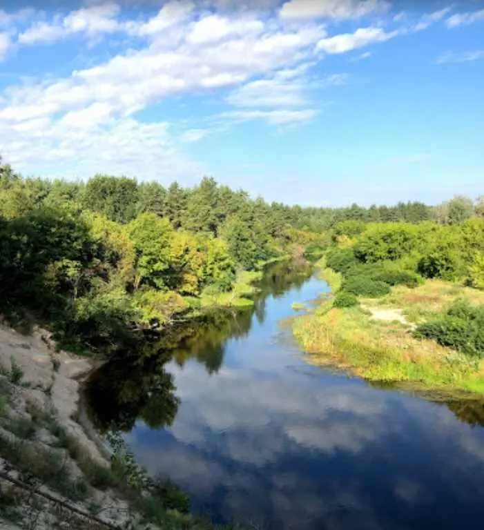 Три ділянки поряд з лісом Петрівка! 