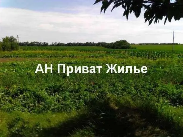 Будинок в Андріївці