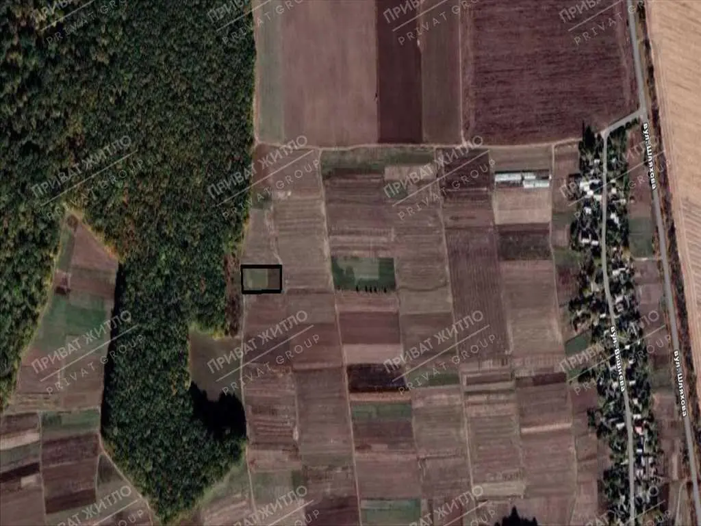 Ділянка 32 сотки біля лісу в селі Великий Тростянець