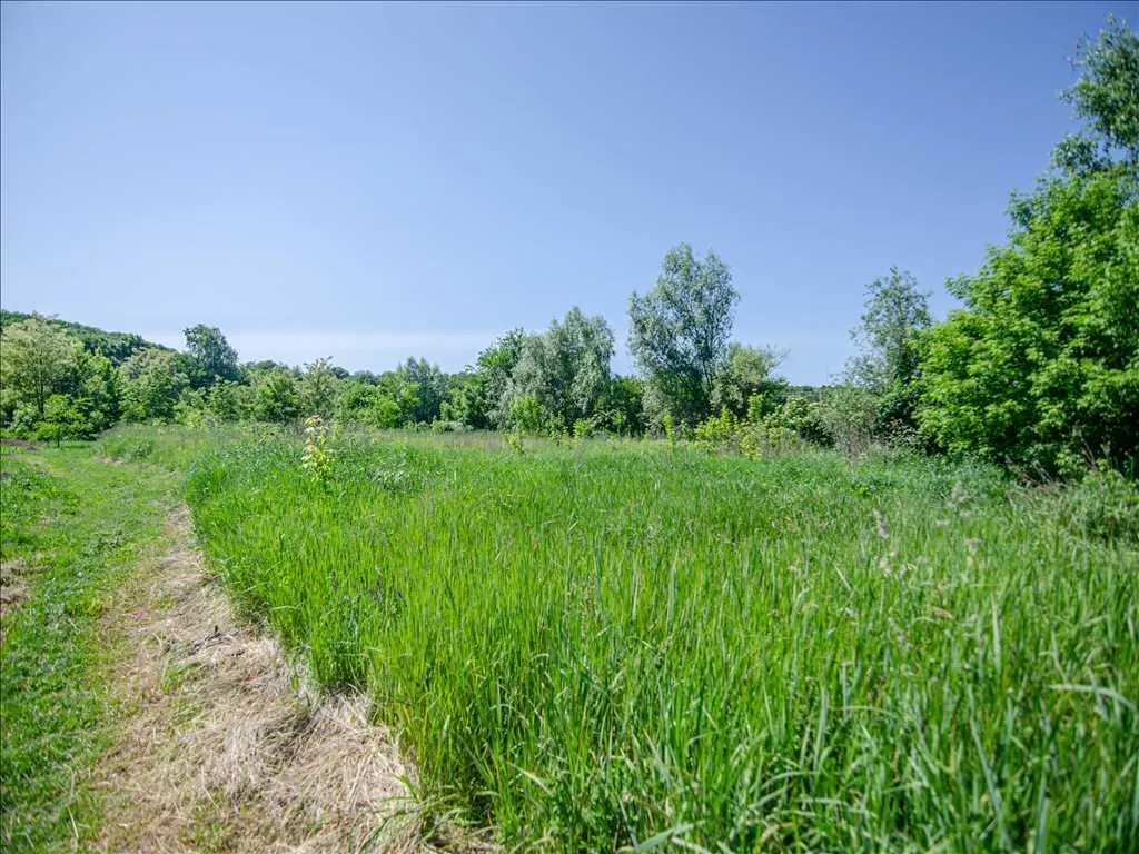 Ділянка з комунікаціями біля річки