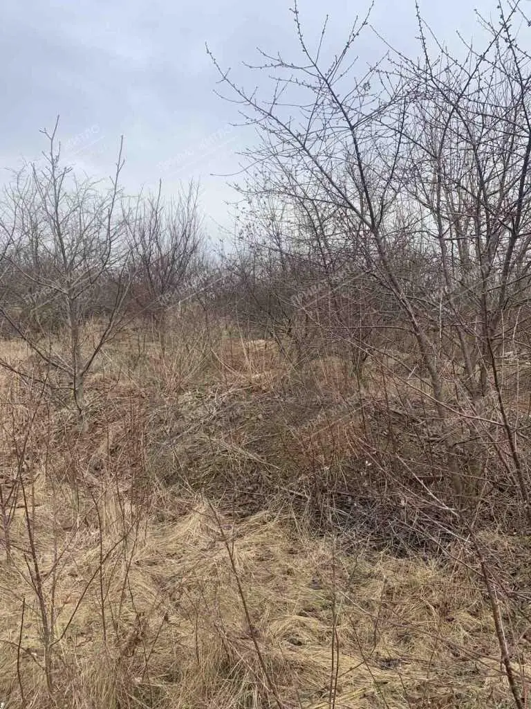 Земельна ділянка в Бричківці. 
