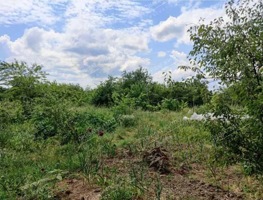 Земельна ділянка в Бричківці. 
