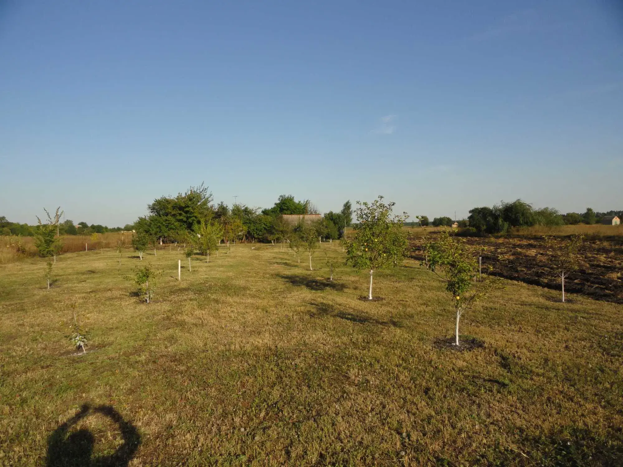 Будинок, житловий стан, с.Вербове