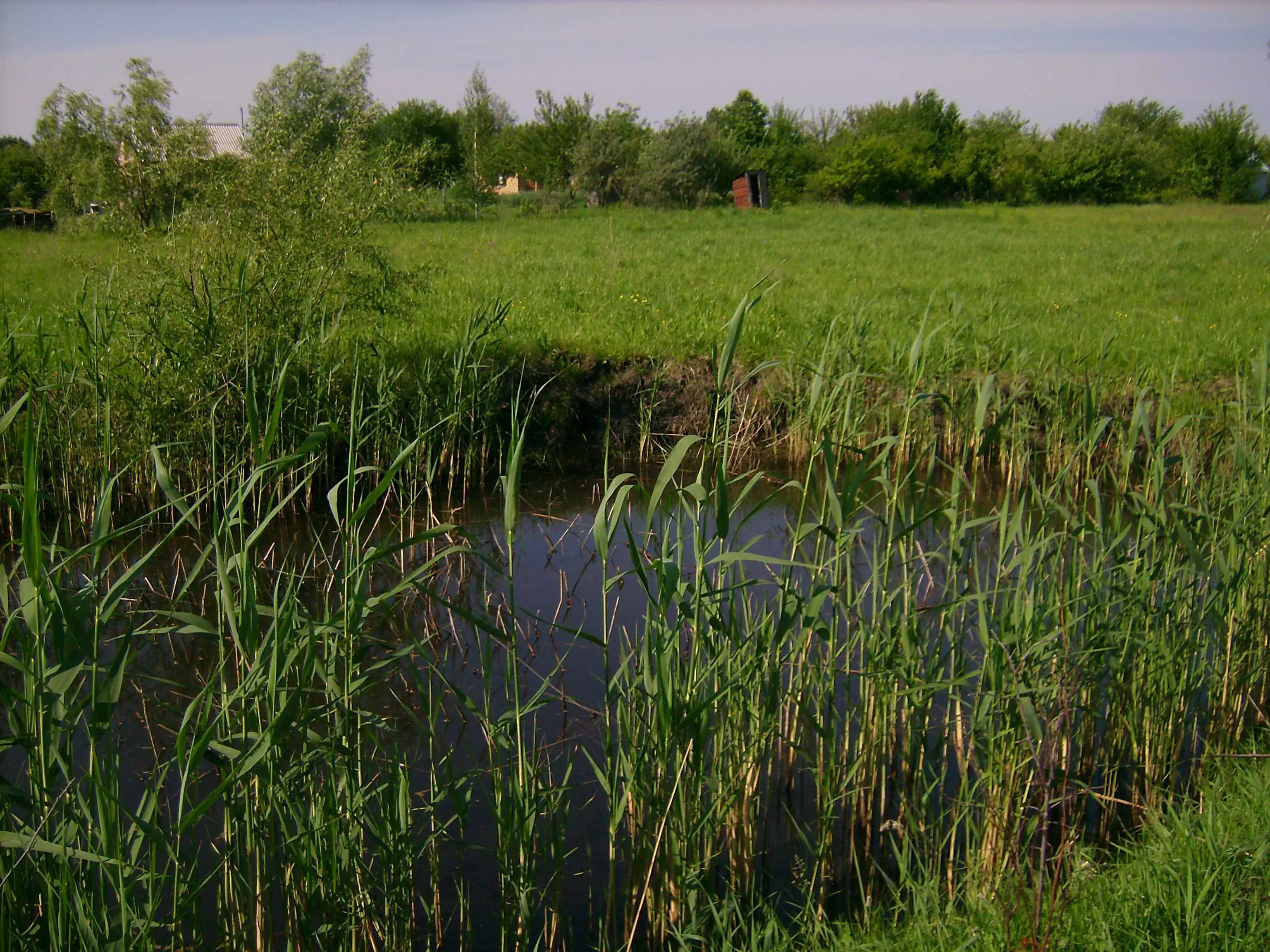 Будинок, житловий стан, с.Вербове