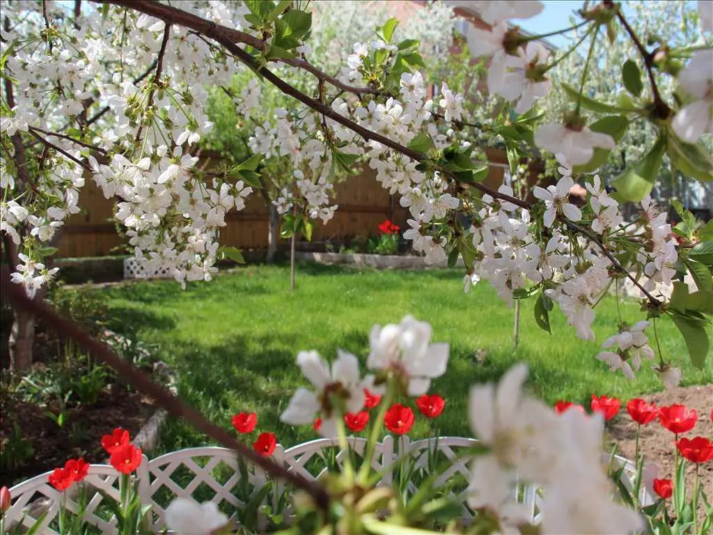 Капітальний будинок у Яру!