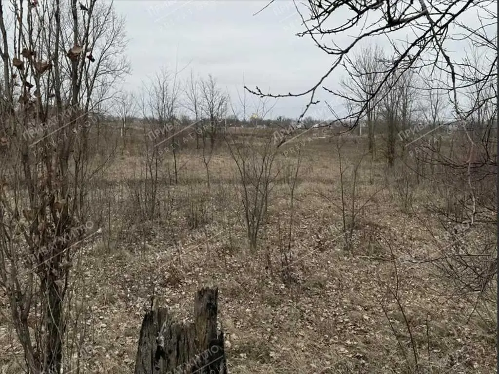 Продам ділянку по Київській трасі 43 соток у Супрунівці