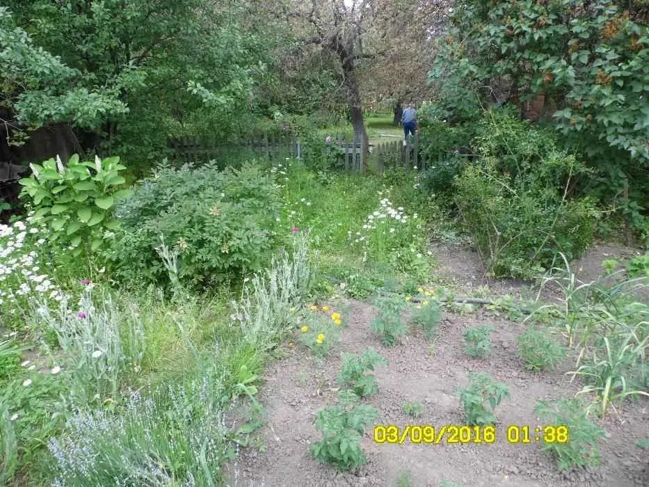 Двоповерхова дача поруч з Полтавою