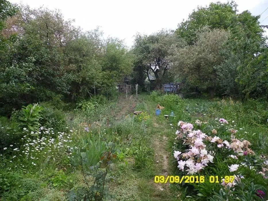 Двоповерхова дача поруч з Полтавою