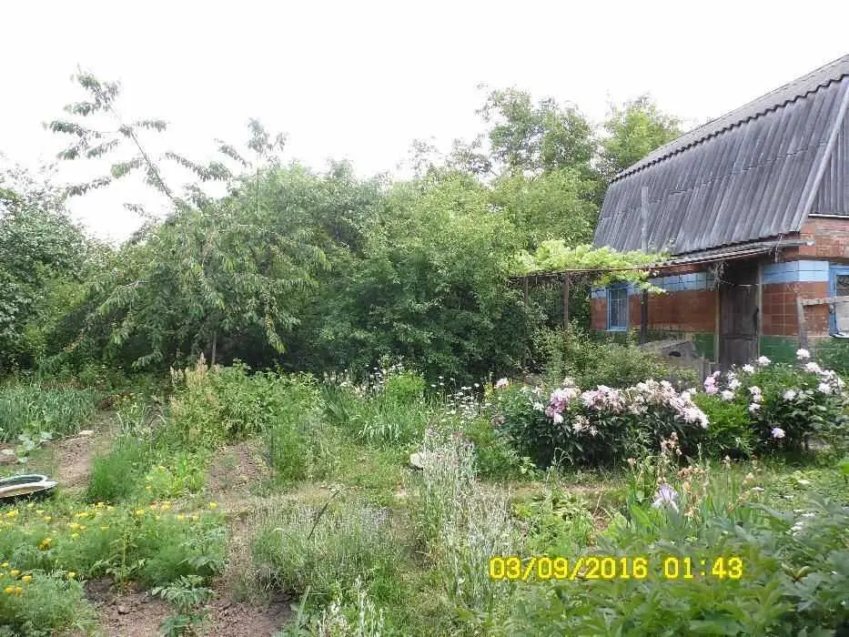 Двоповерхова дача поруч з Полтавою