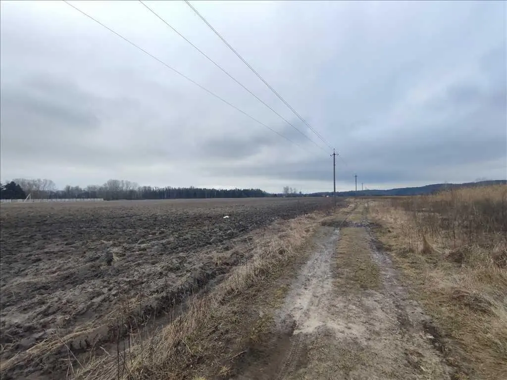 Ділянка біля річки в Кротенках – природа та комфорт поруч!