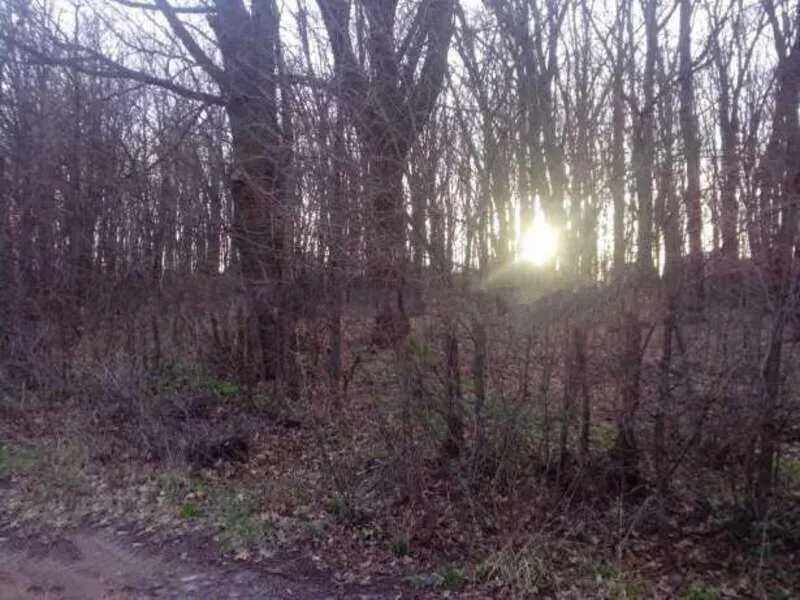 Пропонуємо ділянку в Яру