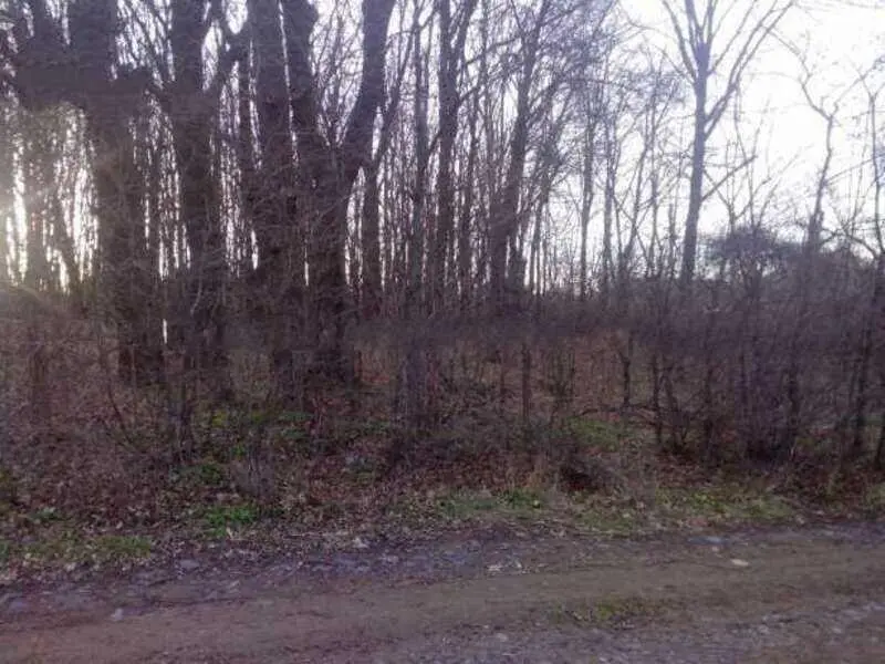 Пропонуємо ділянку в Яру