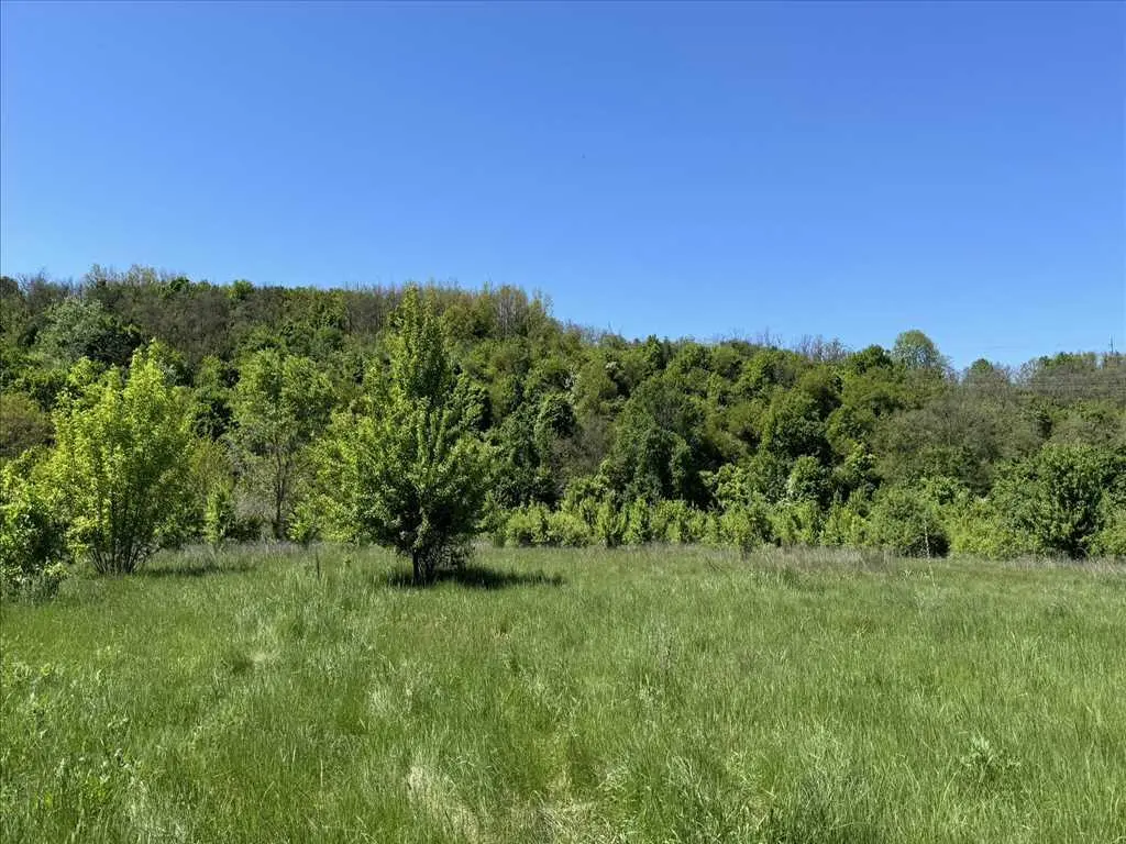 Земельна ділянка у Нижніх Млинах.