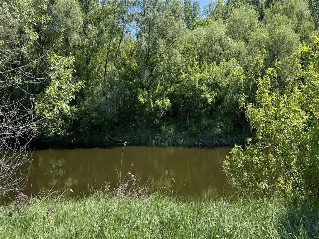 Земельна ділянка у Нижніх Млинах.