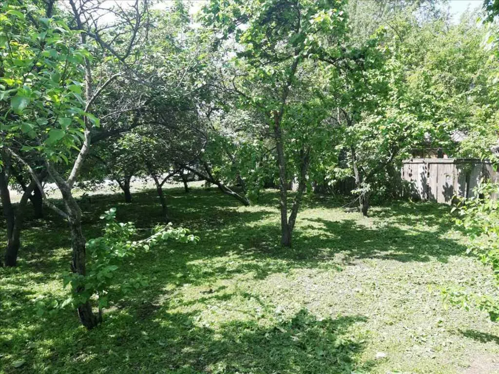 Самий бюджетний будинок з ділянкою.