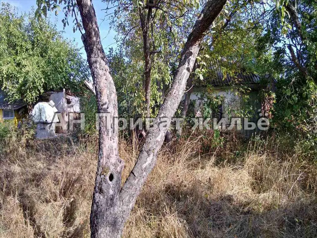 Окремий будинок у Мачухах на великій земельній ділянці