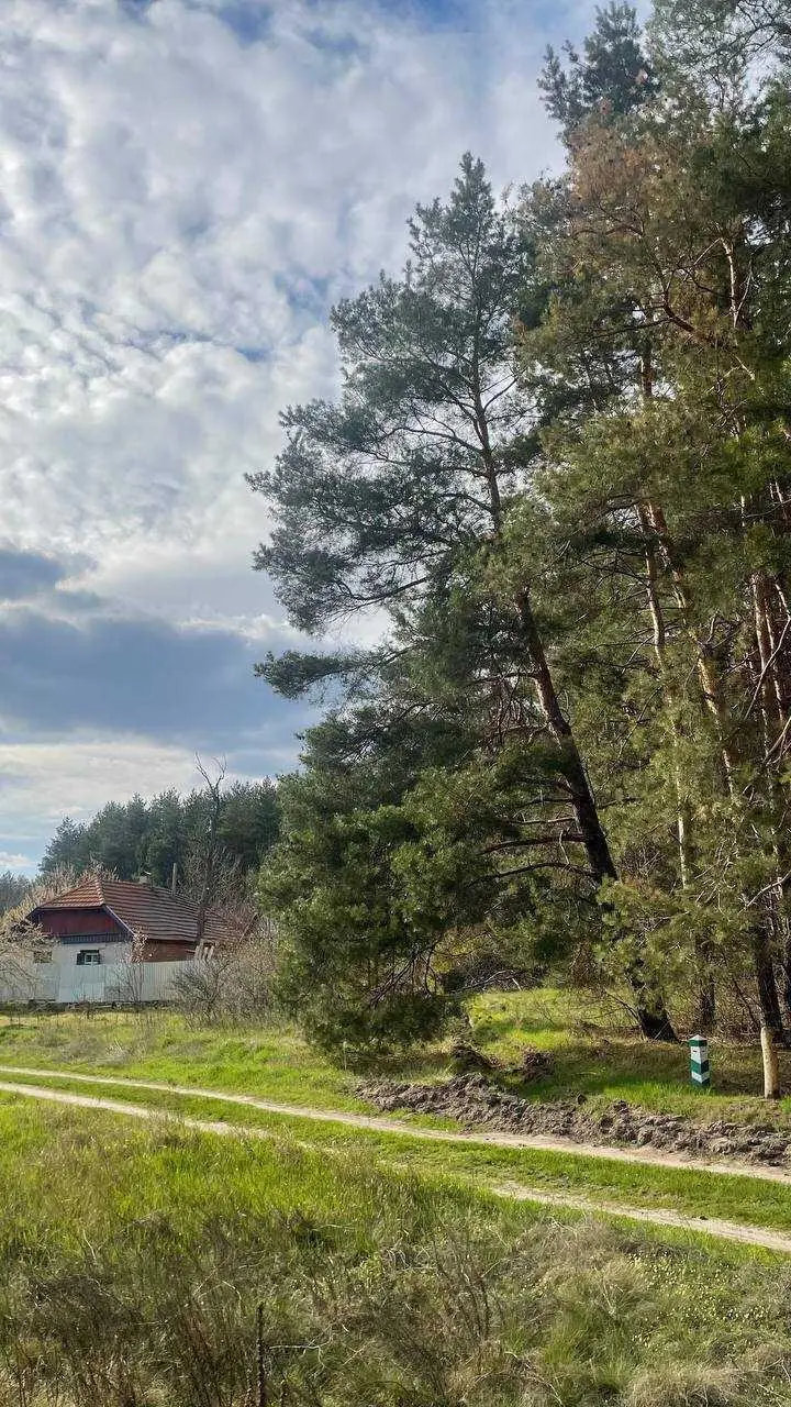 Затурине. Продаж. Земельна ділянка.