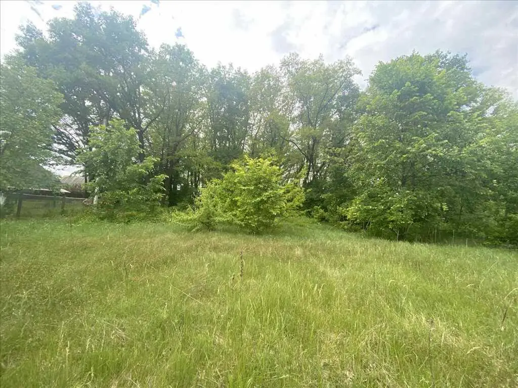 Ділянка біля соснового лісу!