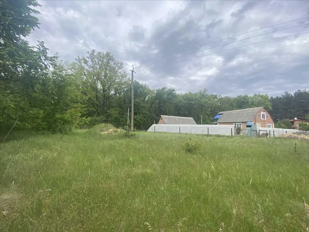 Ділянка біля соснового лісу!