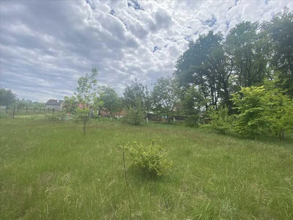 Ділянка біля соснового лісу!