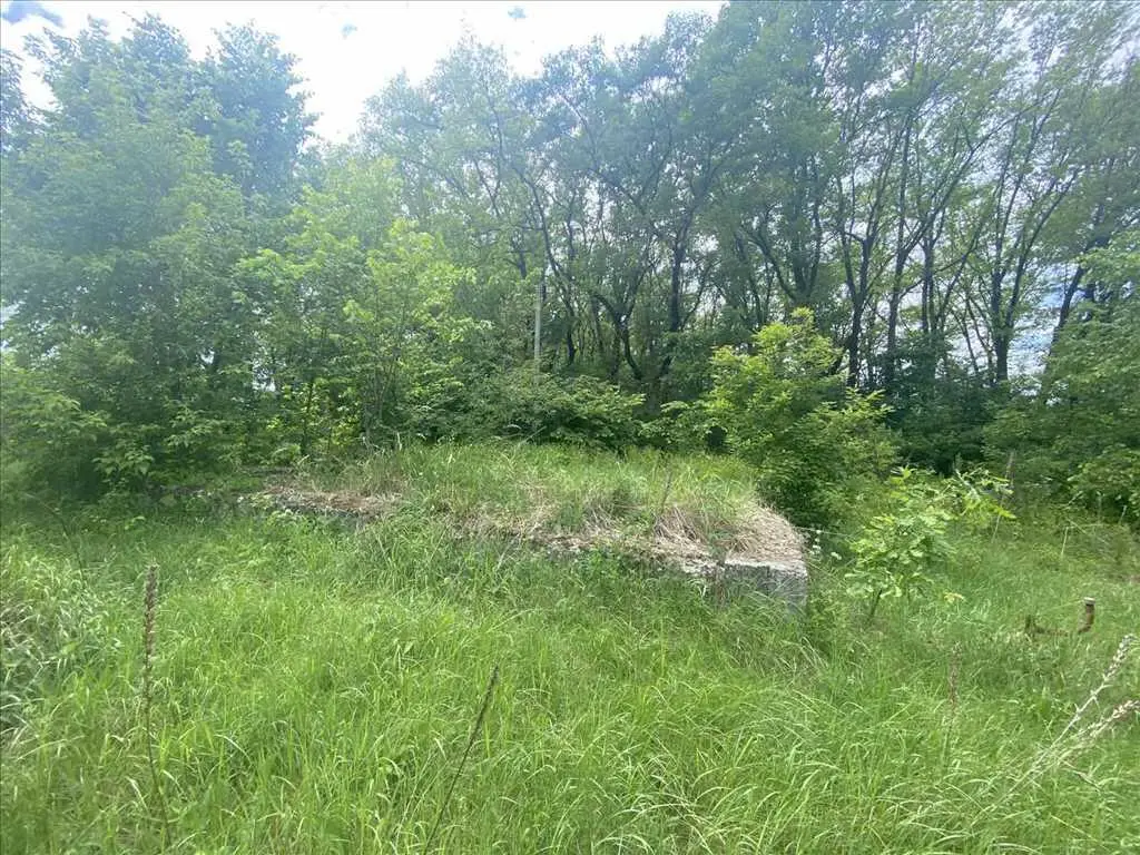 Ділянка біля соснового лісу!