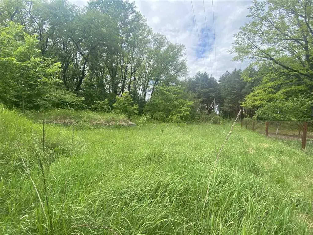 Ділянка біля соснового лісу!