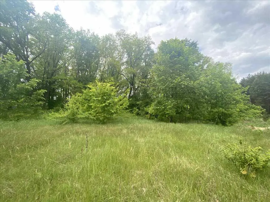 Ділянка біля соснового лісу!