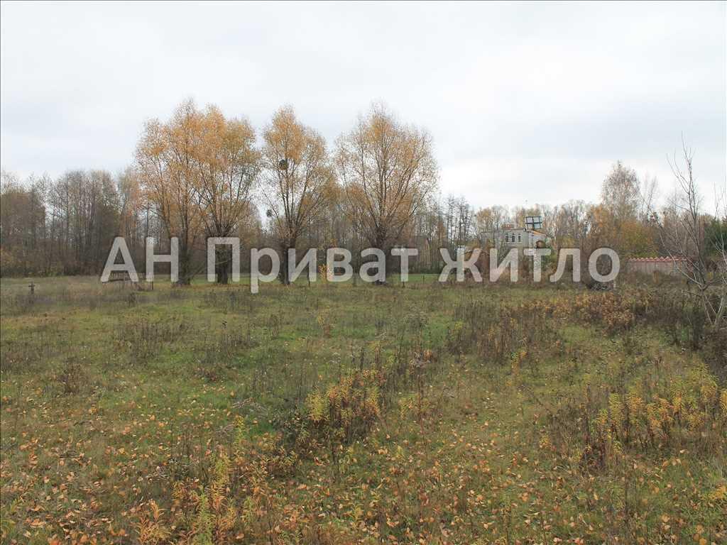 Чудова ділянка в Терешках біля старого русла