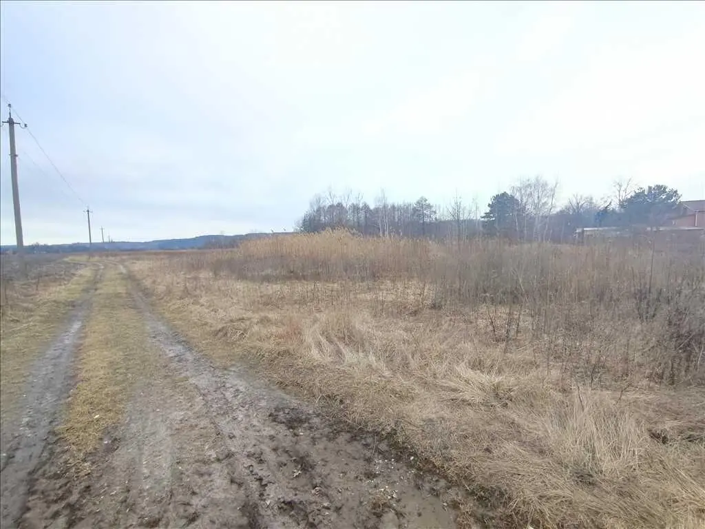 Ділянка 50 соток для будівництва, поряд річка та сосновий ліс! 