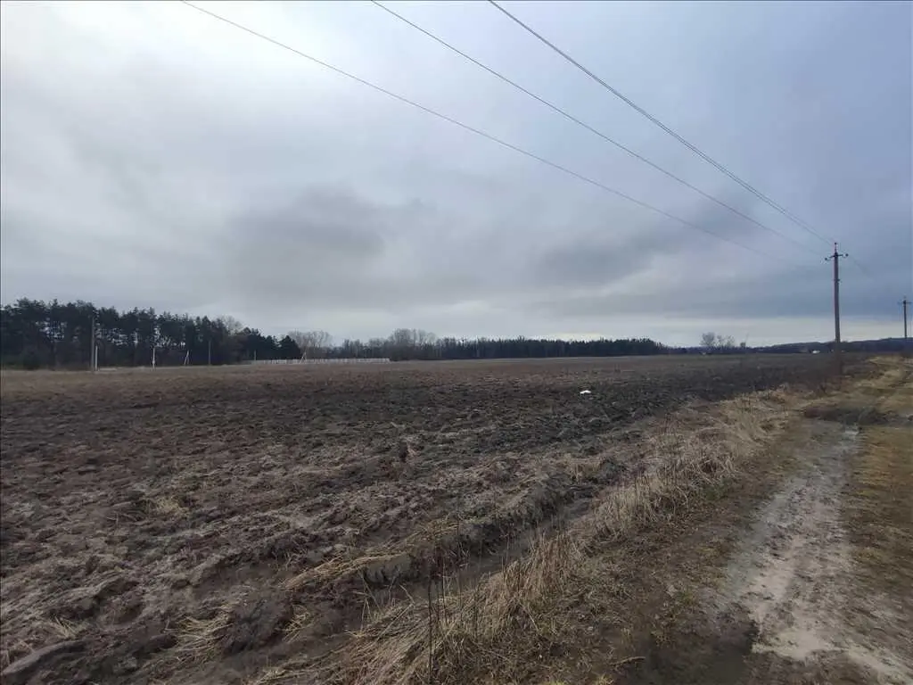 Ділянка 50 соток для будівництва, поряд річка та сосновий ліс! 