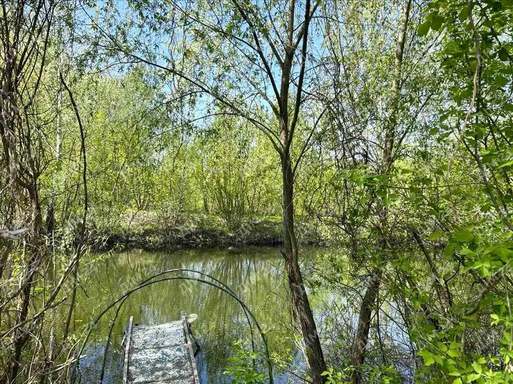  Три будинки на одній ділянці з виходом до річки!