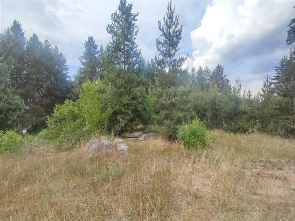 Ділянка з недобудовою в хвойному лісі!