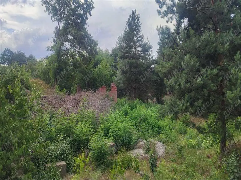 Ділянка з недобудовою в хвойному лісі!