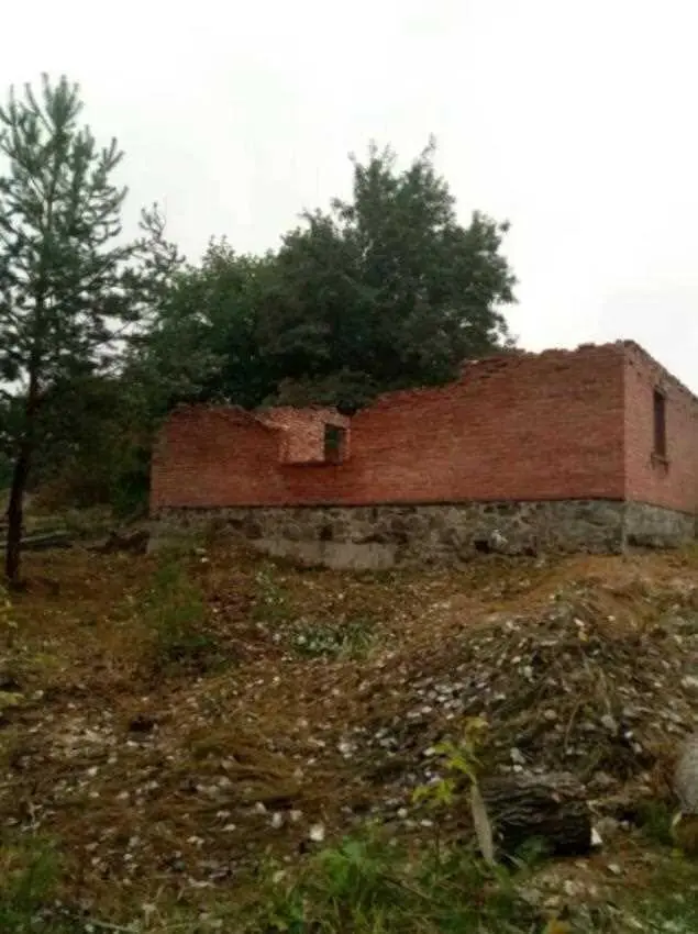 Ділянка з недобудовою в хвойному лісі!