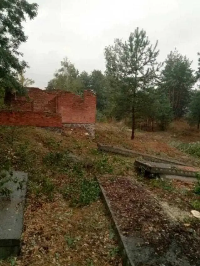 Ділянка з недобудовою в хвойному лісі!