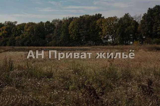 Ділянка у с. Судіївка, Полтавський р-н