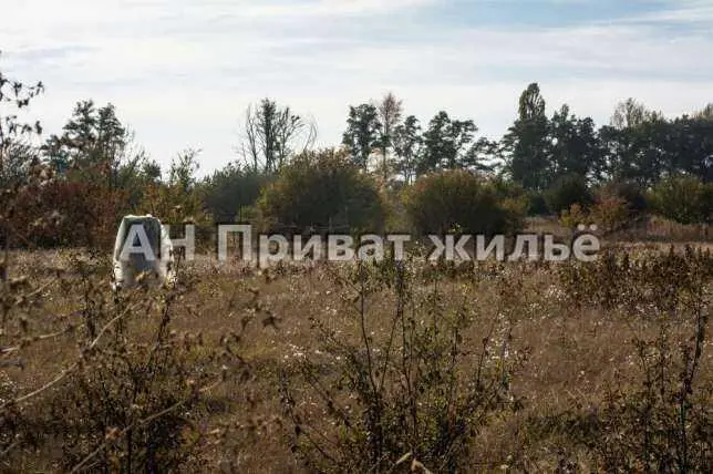 Ділянка у с. Судіївка, Полтавський р-н