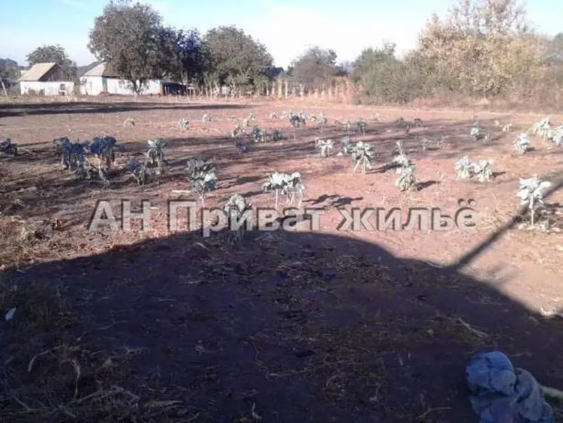 Продам участок в Ивашках.