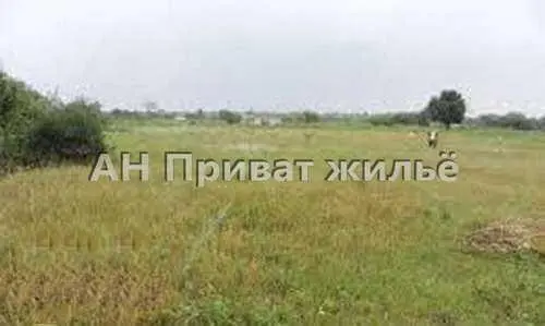 Ділянка 28 соток в Тахтаулове 