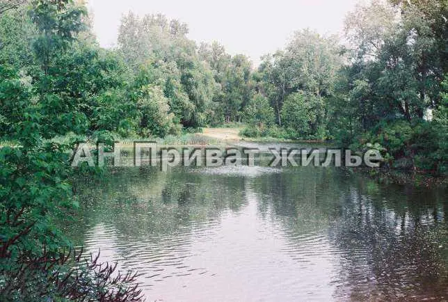 Сем`янівка. Дерев`яний дачний будиночок. 