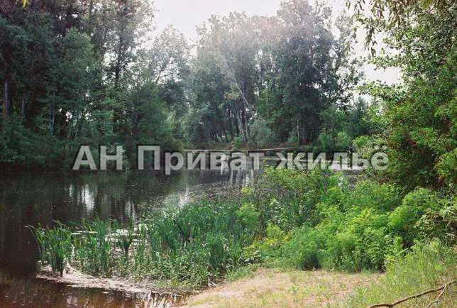 Сем`янівка. Дерев`яний дачний будиночок. 