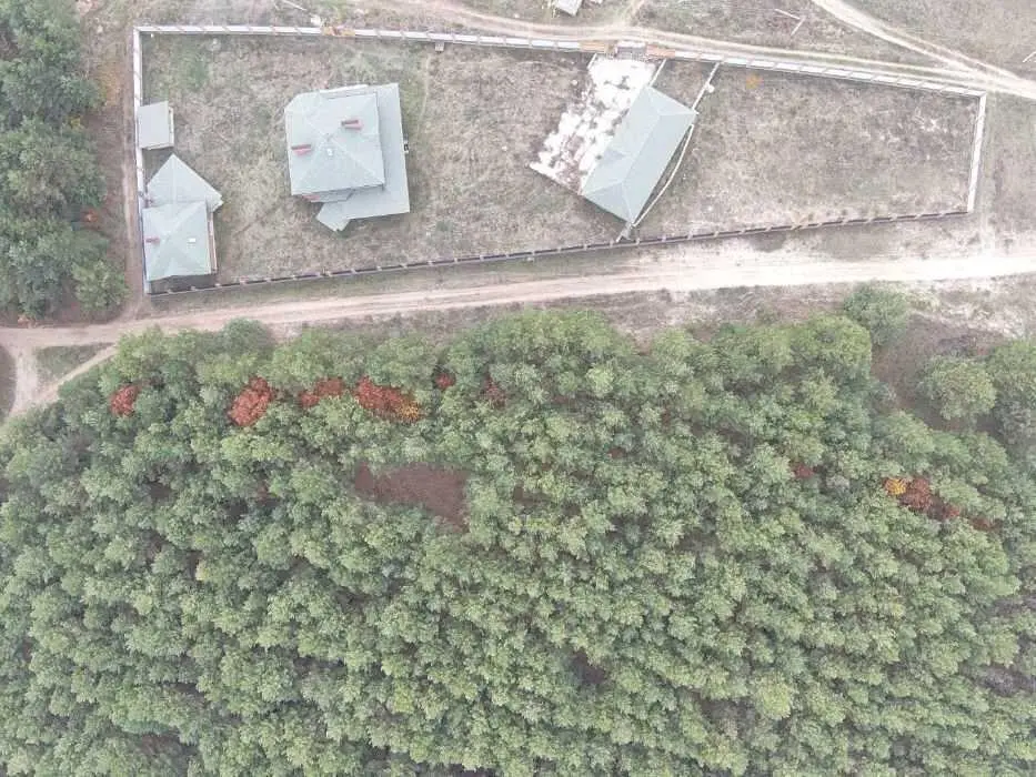 "Міра вашого успіху - ваш будинок"