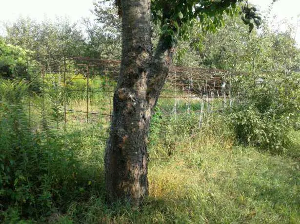 Гарна ділянка, район Автоагрегатного заводу.